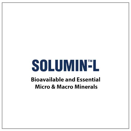 SoluminL Provet